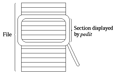 magnifier